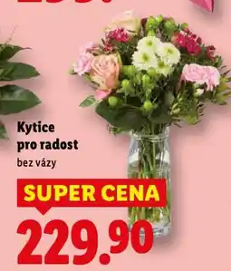 Lidl Kytice pro radost nabídka