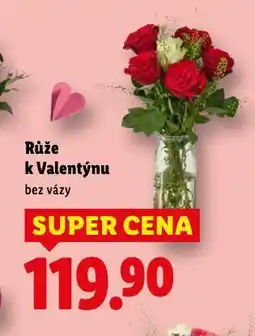 Lidl Růže k valentýnu nabídka
