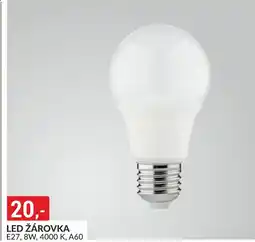 Baumax Led žárovka nabídka