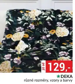 Baumax Deka nabídka