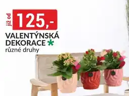 Baumax Valentýnská dekorace nabídka