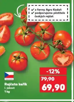Kaufland Rajčata keřík nabídka
