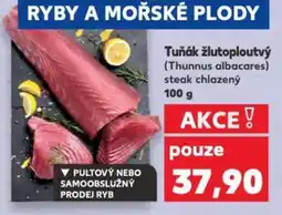 Kaufland Tuňák žlutoploutvý nabídka