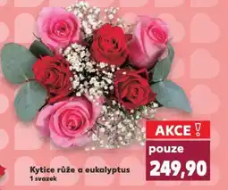 Kaufland Kytice růže a eukalyptus nabídka