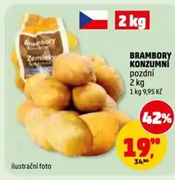 Penny Market Brambory konzumní pozdní nabídka
