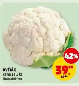 Penny Market Květák nabídka