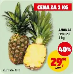Penny Market Ananas nabídka