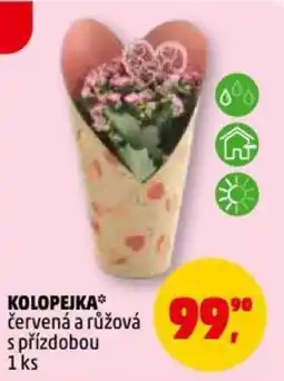 Penny Market Kolopejka nabídka