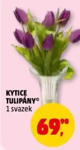 Penny Market Kytice tulipány nabídka