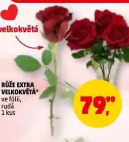 Penny Market Růže extra velkokvětá nabídka