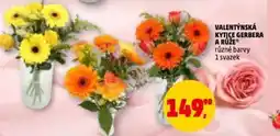 Penny Market Valentýnská kytice gerbera a růže nabídka