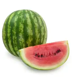 Trefa Meloun vodní nabídka