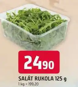 Trefa SALÁT RUKOLA nabídka
