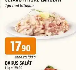 Trefa BAKUS SALÁT nabídka