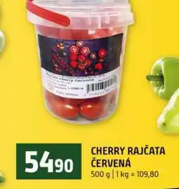 Terno CHERRY RAJČATA ČERVENÁ nabídka