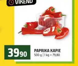 Terno PAPRIKA KAPIE nabídka