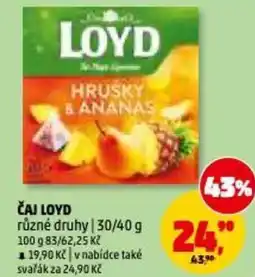 Penny Market Čaj loyd nabídka