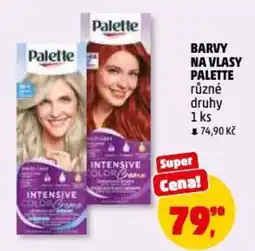 Penny Market Barvy na vlasy palette nabídka