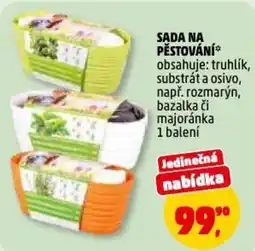 Penny Market Sada na pěstování nabídka