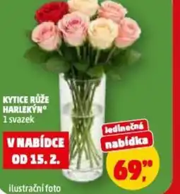 Penny Market Kytice růže harlekýn nabídka