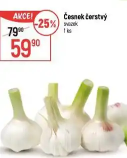 Globus Česnek čerstvý nabídka