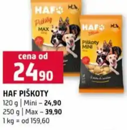 Terno Haf piškoty nabídka
