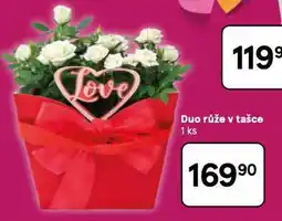 Tesco Duo růže v tašce nabídka