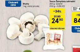 Tesco Žampiony zahradní nabídka