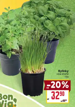 Billa Bylinky nabídka