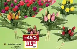 Billa Tulipány svazek gumový nabídka