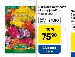 Tesco Gardenie květinové cibulky jarní nabídka