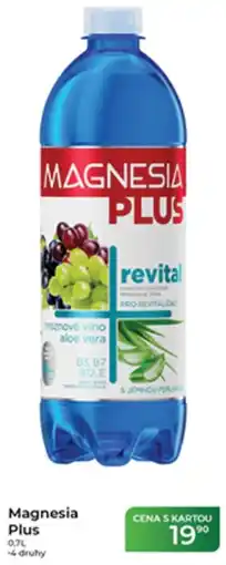 Tamda Foods Magnesia Plus nabídka