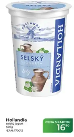 Tamda Foods Hollandia selský jogurt nabídka