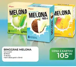 Tamda Foods BINGGRAE MELONA Ice Cream nabídka