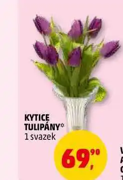 Penny Market KYTICE TULIPÁNY, 1 svazek nabídka
