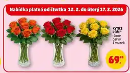 Penny Market KYTICE RŮŽE, 1 svazek nabídka