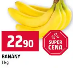 Terno Banány nabídka