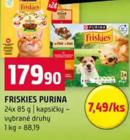 Terno Friskies purina nabídka