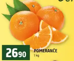 Terno Pomerance nabídka
