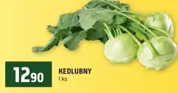 Terno Kedlubny nabídka