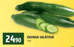 Terno Okurka salátová nabídka