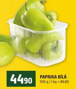 Terno Paprika bílá nabídka