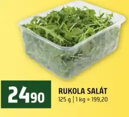 Terno Rukola salát nabídka