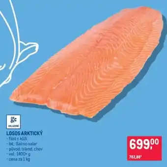 Makro Losos arktický nabídka