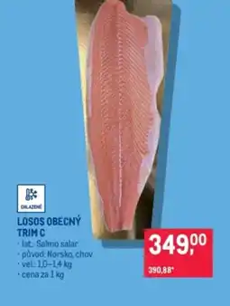 Makro Losos obecný trim C nabídka