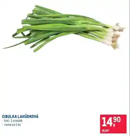 Makro Cibulka lahůdková nabídka