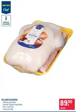 Makro Mladá kachna nabídka