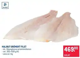 Makro Halibut grónský filet nabídka