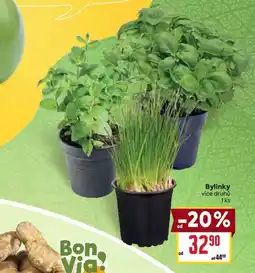 Billa Bylinky vice druhů 1ks nabídka