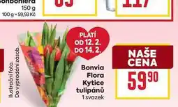Billa Bonvia Flora Kytice tulipánů 1 svazek nabídka